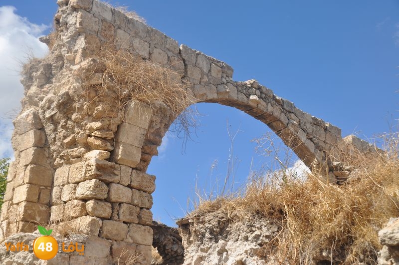 sabon el far lud 107 (2).JPG